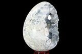 Crystal Filled Celestine (Celestite) Egg Geode - Large Crystals! #88280-1
